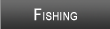 Winter Haven Chain Fishing